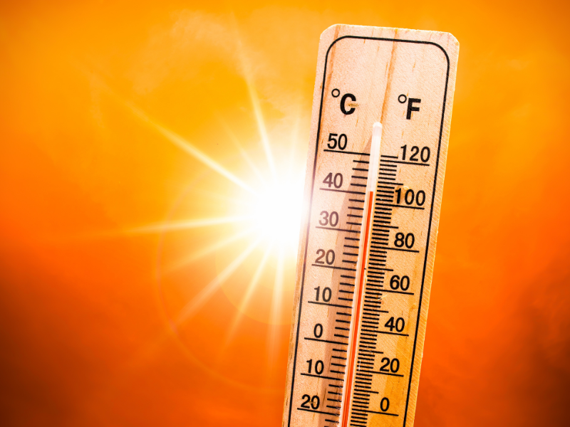 thermometer