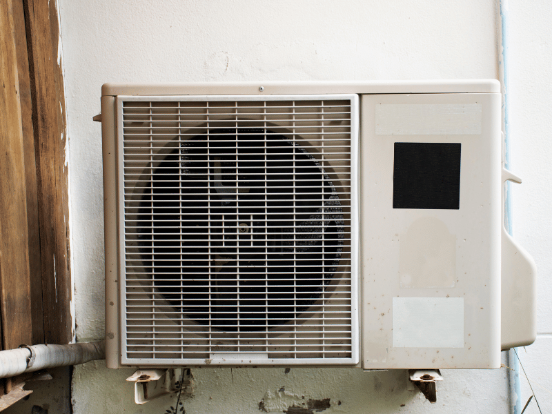 Moldy External AC Unit