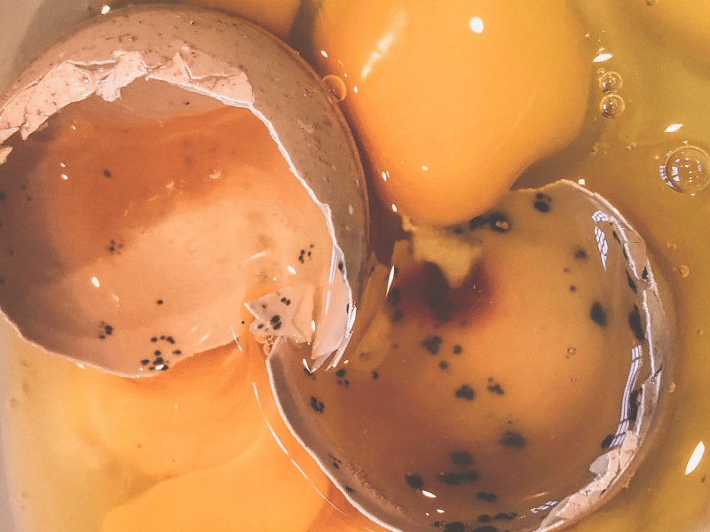 Rotten Eggs